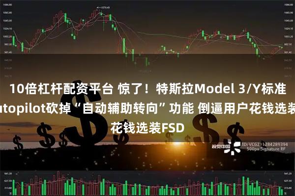 10倍杠杆配资平台 惊了！特斯拉Model 3/Y标准版Autopilot砍掉“自动辅助转向”功能 倒逼用户花钱选装FSD