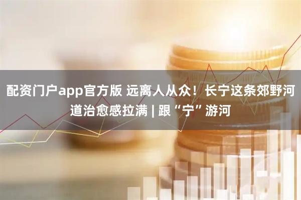 配资门户app官方版 远离人从众！长宁这条郊野河道治愈感拉满 | 跟“宁”游河